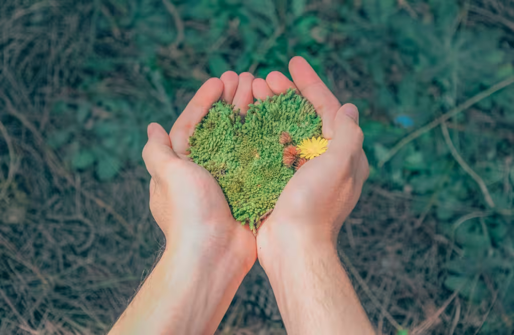 csr nachhaltigkeit bericht lieferketten wirtschaftlichkeit stabilität umwelt soziales handelsketten wertschöpfungsketten food
